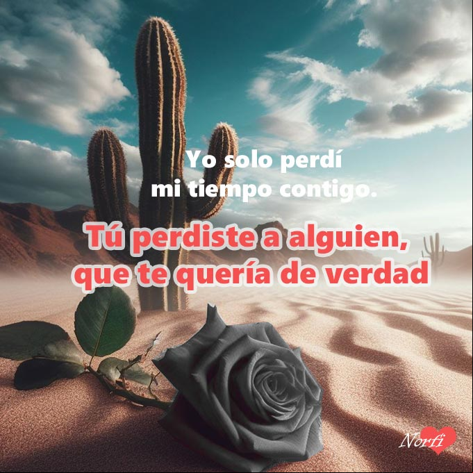 Yo solo perdí mi tiempo contigo. Tú perdiste a alguien, que te quería de verdad rosa roja tirada en el desierto