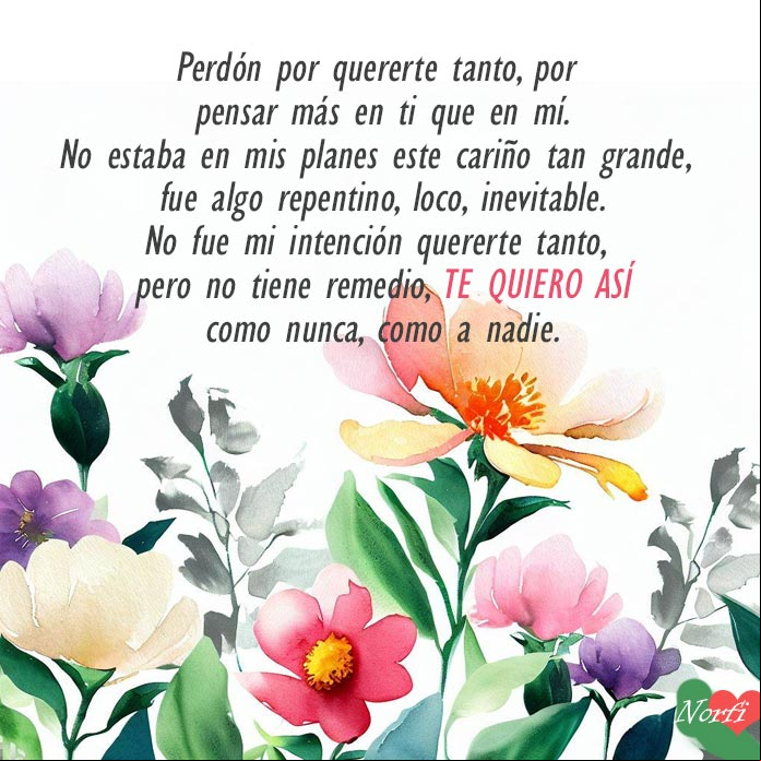  Flores de varios colores