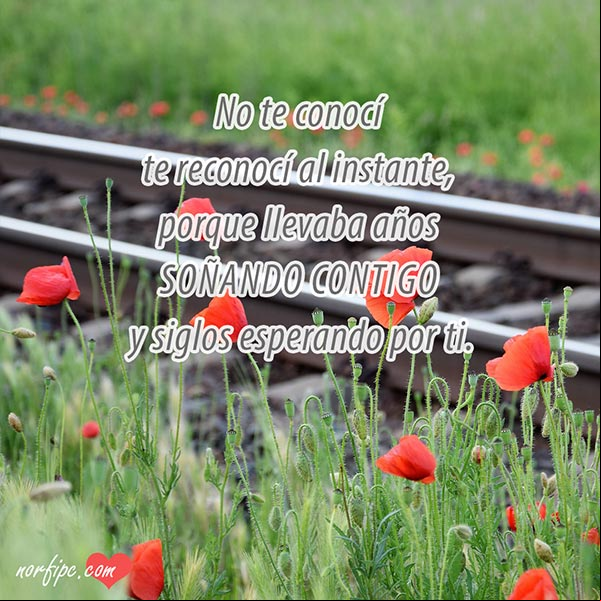 No te conocí, te reconocí al instante, porque llevaba años soñando contigo y siglos esperando por ti. #MensajesAmor Te reconoci