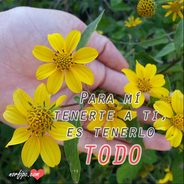 Para mí tenerte a ti, es tenerlo TODO. #MensajesAmorInstagram Tenerte a ti es tenerlo TODO. Fotos con mensajes de amor en Instagram