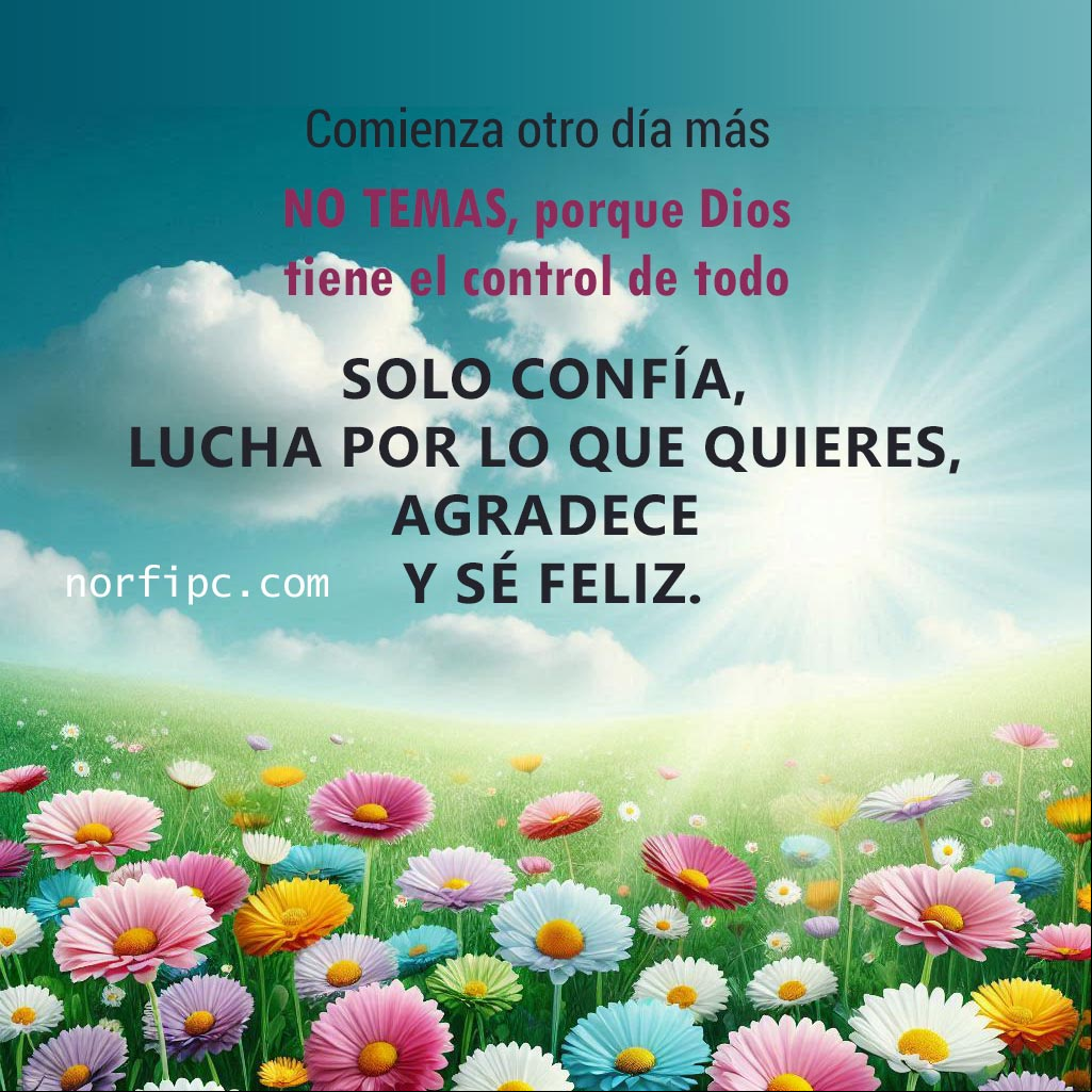 Comienza otro día más. No temas, porque Dios tiene el control de todo. Solo confía, lucha por lo que quieres, agradece y sé feliz Paisaje con flores al amanecer y rayos del sol