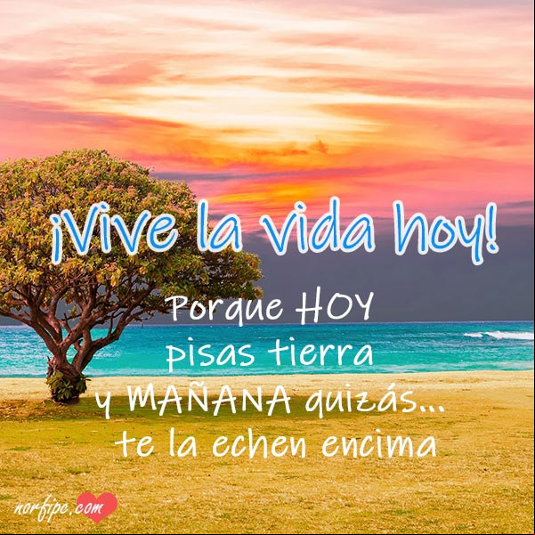 ¡Vive la vida hoy! Porque hoy pisas tierra y mañana quizás, te la echen encima... #Motivaciones ¡Vive la vida hoy