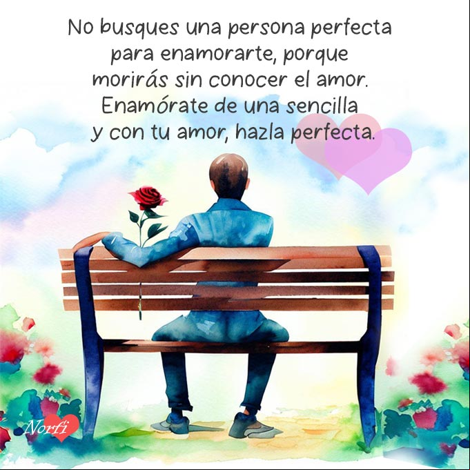 No busques una persona perfecta para enamorarte, porque morirás sin conocer el amor. Enamórate de una sencilla y con tu amor, hazla perfecta Hombre en banco del parque con una rosa en la mano