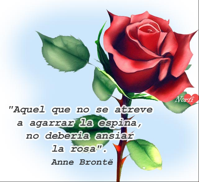 Aquel que no se atreve a agarrar la espina, no debería ansiar la rosa Rosa roja con espinas con cita de Anne Brontë