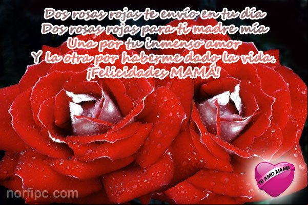 Dos rosas rojas para ti madre mía. #DiaMadre Dos rosas rojas para ti madre mía