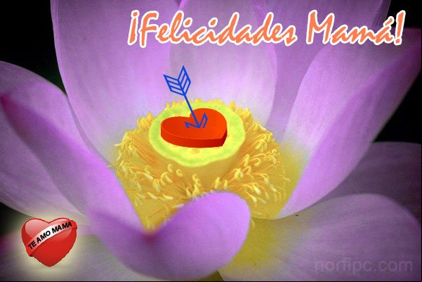 Mi corazón es todo tuyo, de la misma forma que me has entregado todo tu amor y devoción. ¡Felicidades en tu día! #DiaMadre Mi corazón es todo tuyo, de la misma forma que me has entregado todo tu amor y devoción