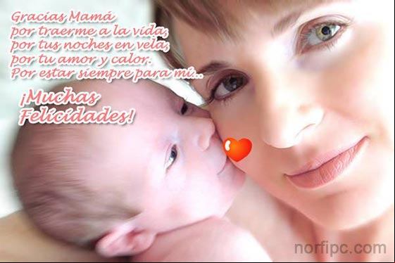 Gracias Mamá por traerme a la vida, por tus noches en vela, por tu amor y calor. Gracias Mamá por traerme a la vida