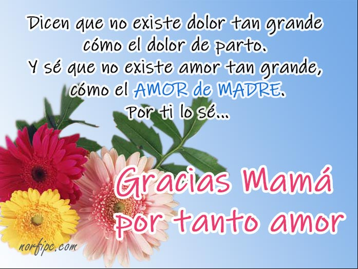 Gracias Mamá. Fotos para felicitar y dedicar el Día de la Madre