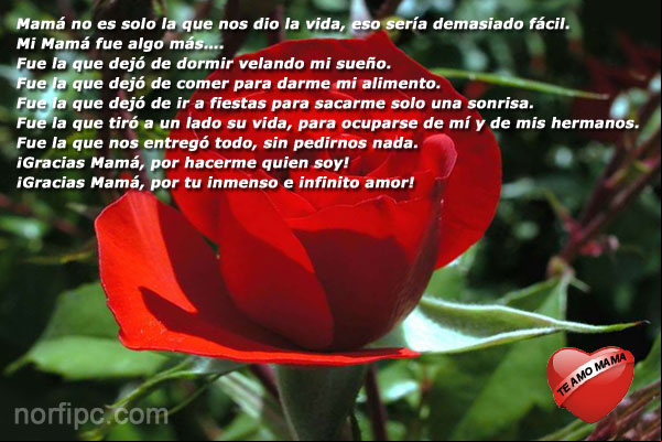 ¡Gracias Mamá por tu inmenso e infinito amor! ¡Gracias Mamá por tu inmenso e infinito amor!