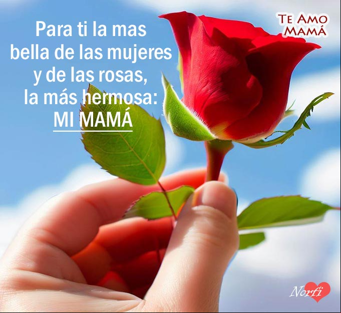 Para ti la mas bella de las mujeres y de las rosas, la más hermosa: Mi Mamá Mi Mamá #DiaMadre Mano sosteniendo una rosa roja para mi mamá