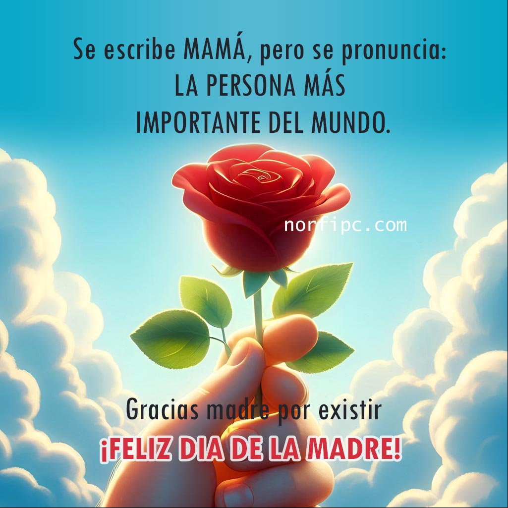 Se escribe MAMÁ, pero se pronuncia: LA PERSONA MÁS IMPORTANTE DEL MUNDO Mano sosteniendo una rosa roja