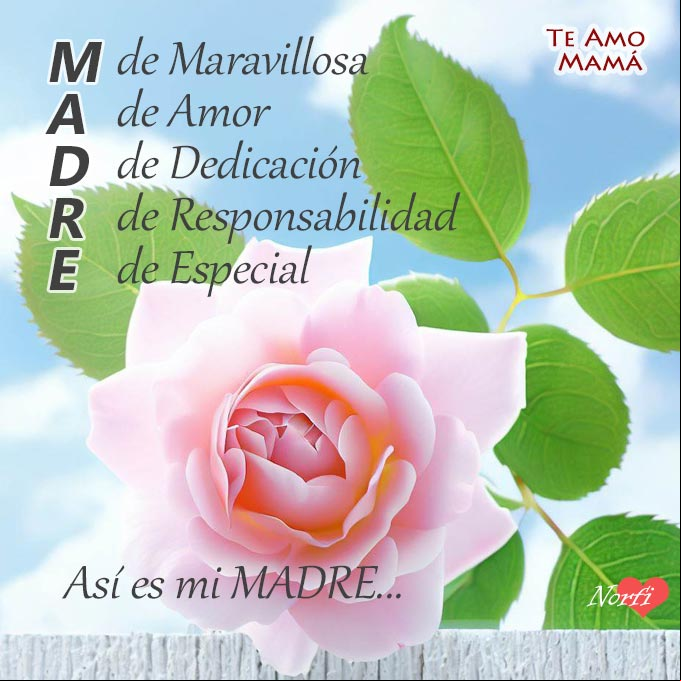 Las letras de mi Madre: M de maravillosa, A de amor, D de dedicación, R de responsabilidad y E de especial. Así es mi MADRE... ¡Te Amo Mamá! Rosa rosada en cerca de madera con verso a mi madre