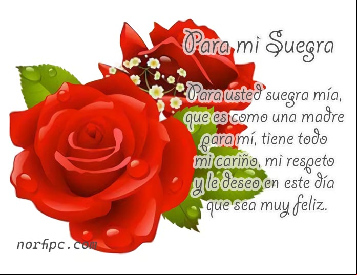 Mensajes para mi Suegra de felicitación y elogio