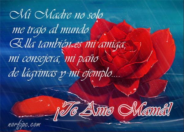 Mi Madre no solo me trajo al mundo, también es mi amiga, mi consejera, mi paño de lágrimas y mi ejemplo. ¡Te Amo Mamá! Mi Madre es mi amiga, mi consejera, mi paño de lágrimas y mi ejemplo