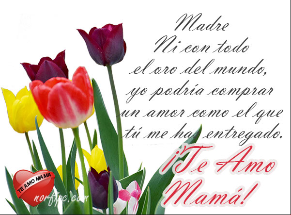 Madre ni con todo el oro del mundo, yo podría comprar un amor como el que tú me has entregado. ¡Te Amo Mamá! Un amor como el que tú me has entregado