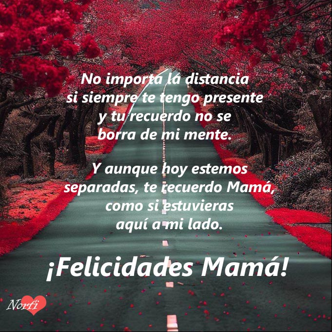 No importa la distancia si siempre te tengo presente y tu recuerdo no se borra de mi mente ¡Felicidades Mamá! Carretera con cerezos en flor que se pierde en la distancia