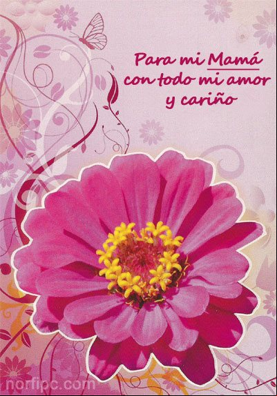 Para mi Mamá con todo mi amor y cariño. #DiaMadre Para mi Mamá con todo mi amor y cariño