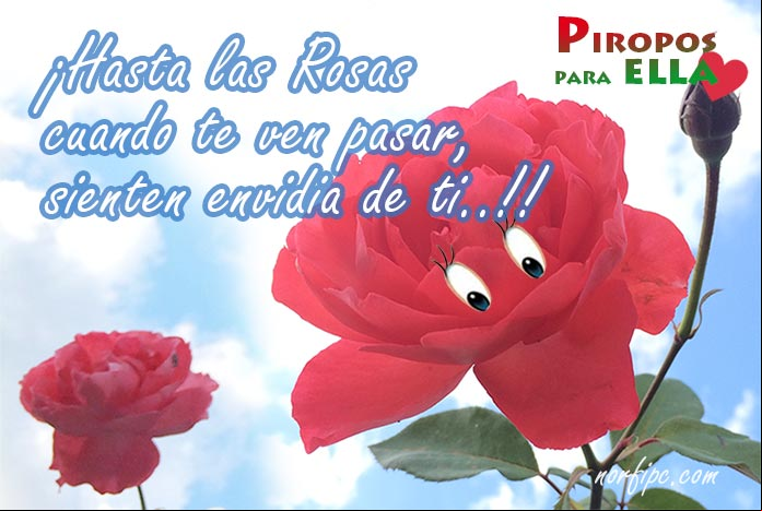 Piropos de amor, galanterías y lo más bello para ellas