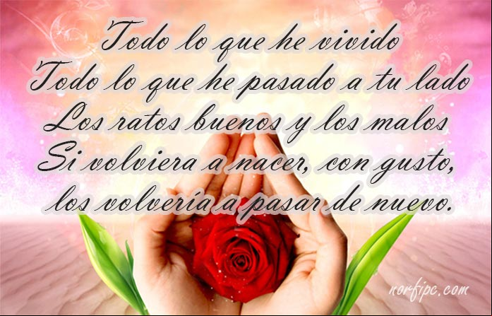 Frases para un matrimonio, para dos felizmente casados