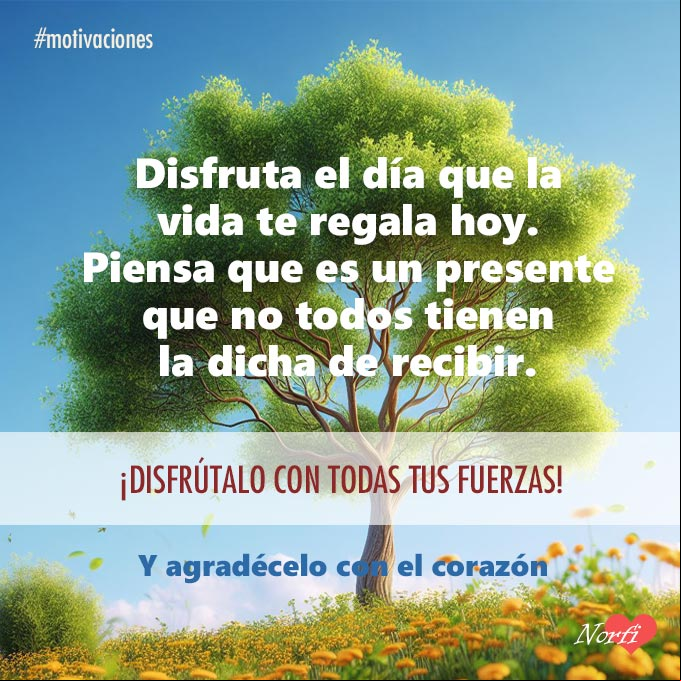 Disfruta el día que la vida que te regala hoy. Piensa que es un presente que no todos tienen la dicha de recibir. ¡Disfrútalo con todas tus fuerzas! Y agradécelo con el corazón Arbol con flores amarillas bajo el cielo azul