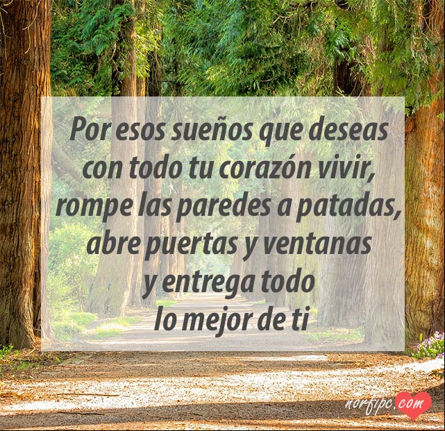 Por esos sueños que deseas con todo tu corazón vivir, rompe las paredes a patadas, abre puertas y ventanas y entrega todo lo mejor de ti. #FrasesMotivadoras Entrega lo mejor de ti