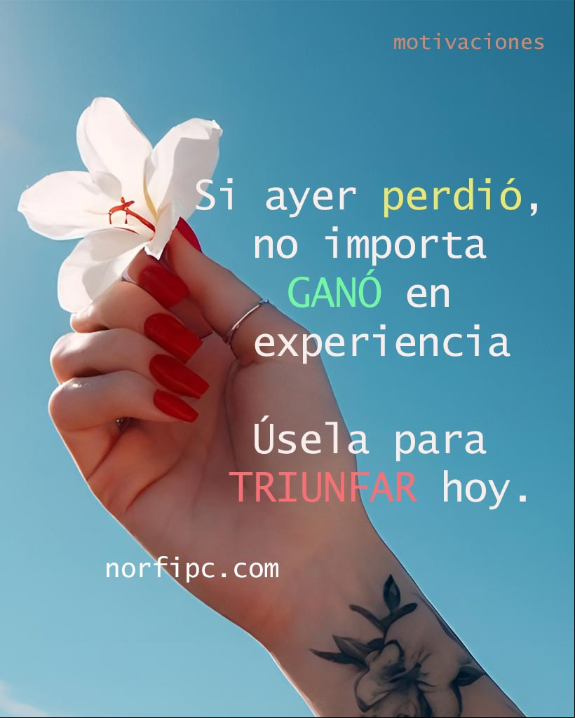 Si ayer perdió, no importa, ganó en experiencia. Úsela para TRIUNFAR hoy Mano de una mujer con una flor blanca bajo el cielo azul