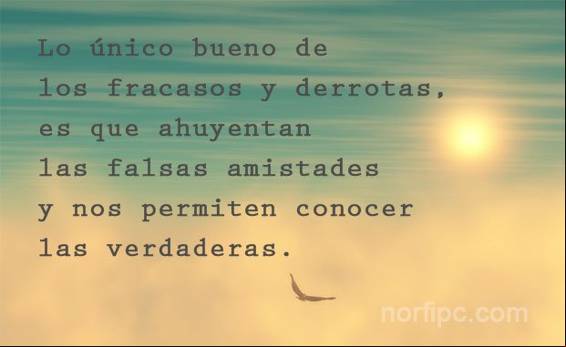 Frase sobre el los fracasos y las falsas amistades