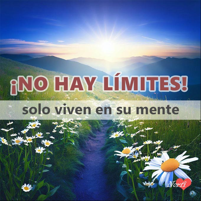 No hay límites, solo viven en su mente Sendero en el campo entre flores al amanecer