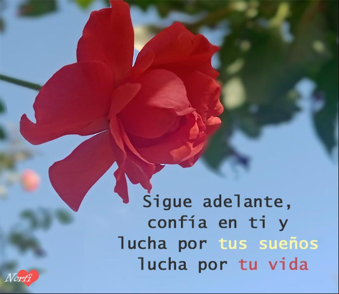 Sigue adelante, confía en ti y lucha por tus sueños, lucha por tu vida
