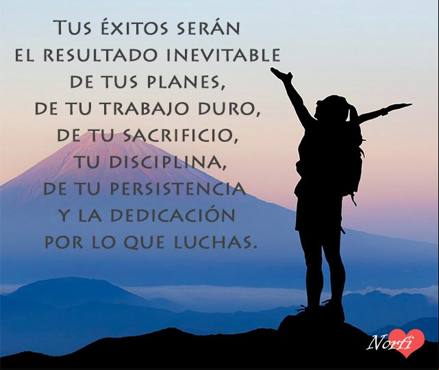 Tus éxitos serán el resultado inevitable de tus planes, de tu trabajo duro, de tu sacrificio, tu disciplina, de tu persistencia y la dedicación por lo que luchas Tus éxitos