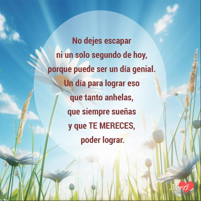 No dejes escapar ni un solo segundo de hoy, porque puede ser un día genial. Un día para obtener eso que tanto anhelas, que siempre sueñas y que te mereces, poder lograr. Flores silvestres blancas bajo el cielo azul y los rayos del sol