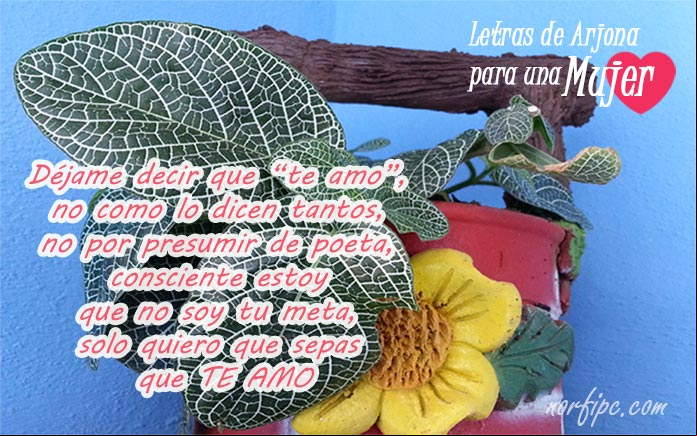 Frases y letras de canciones de Arjona para dedicar a una mujer