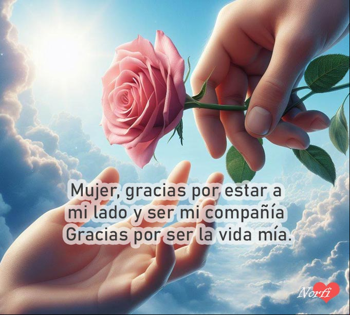 Mujer, gracias por estar a mi lado y ser mi compañía. Gracias por ser la vida mía Mano de un hombre entregando una rosa rosada en la mano de una mujer,