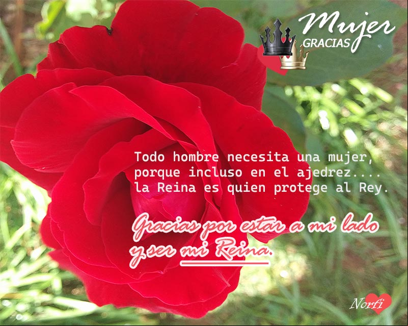 Foto con palabras lindas para una mujer en el Dia de la Mujer