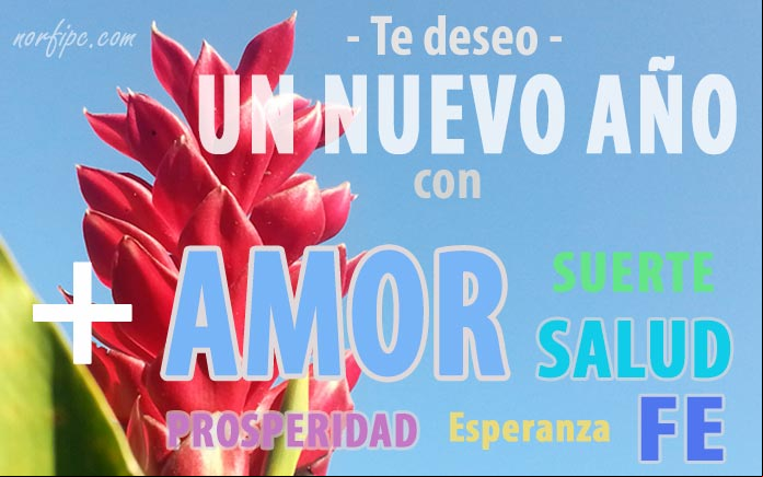 Te deseo un nuevo año feliz