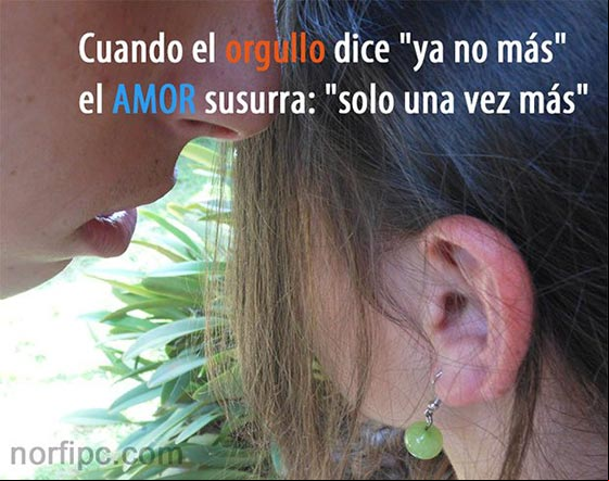 Cuando el orgullo dice: "ya no más", el amor susurra: "solo una vez más" El amor y el orgullo en nuestra vida y relaciones