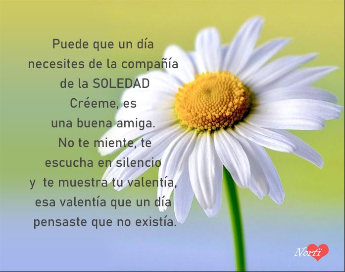 Pensamiento sobre la soledad, una buena amiga