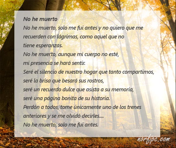 No he muerto. Poema motivador por el fallecimiento de un ser querido No he muerto. Poema motivador por el fallecimiento de un ser querido