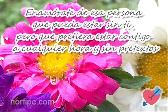 Enamórate de esa persona que pueda estar sin ti, pero que prefiera estar contigo a cualquier hora y sin pretextos. #ConsejosAmor Foto con frase para saber y entender cuándo es amor lo que sentimos