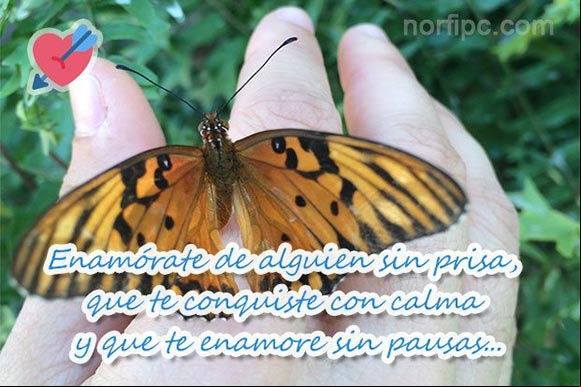 Enamórate de alguien sin prisa, que te conquiste con calma y que te enamore sin pausas. #ConsejosAmor Foto con pensamiento para reflexionar antes de enamorarse de otra persona