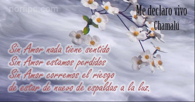 Sin Amor nada tiene sentido, sin Amor estamos perdidos, sin Amor corremos el riesgo de estar de nuevo transitando de espaldas a la luz. Frase de un poema de Chamalú Me declaro vivo, poema de Chamalú sobre la felicidad e infelicidad
