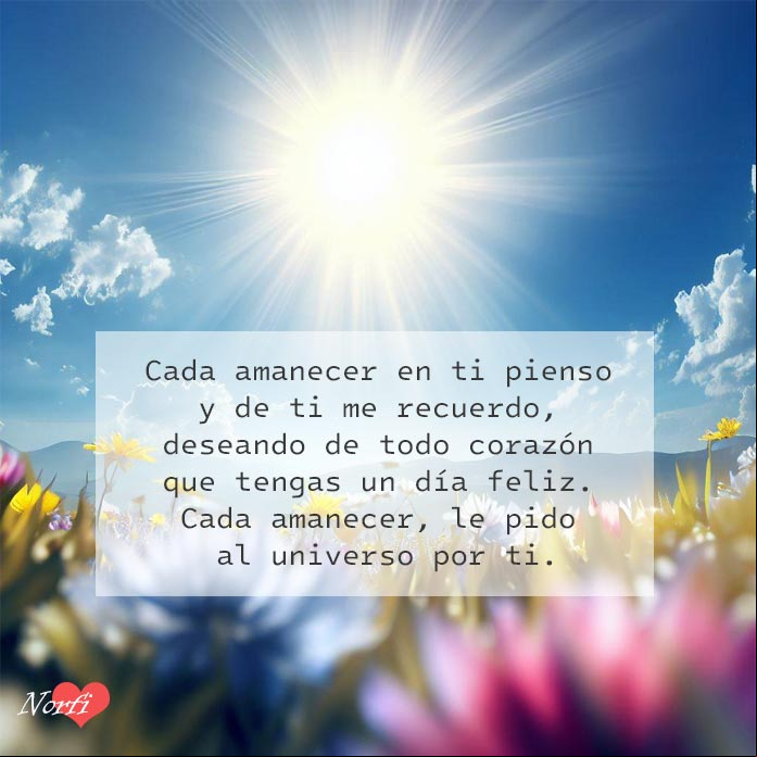 Paisaje de amanacer con flores y cielo azul