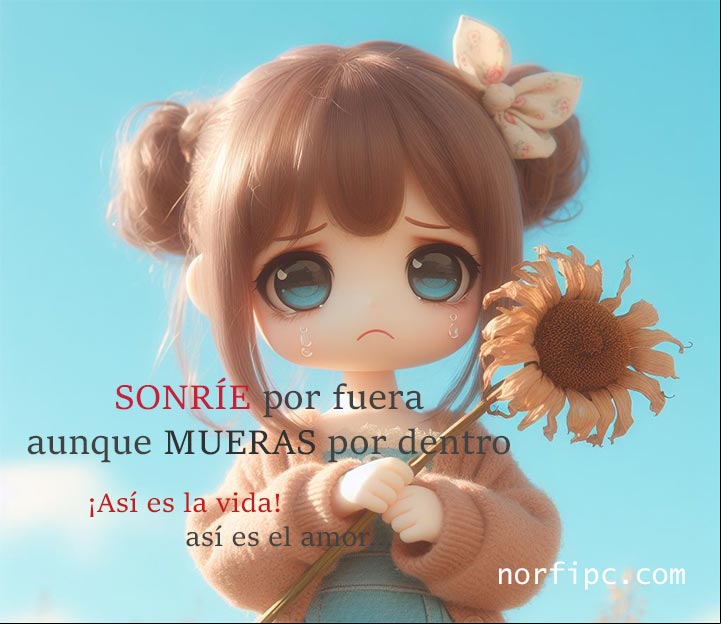 SONRÍE por fuera aunque MUERAS por dentro ¡Así es la vida! Frases tristes de resignación y conformidad por un amor q no puede ser