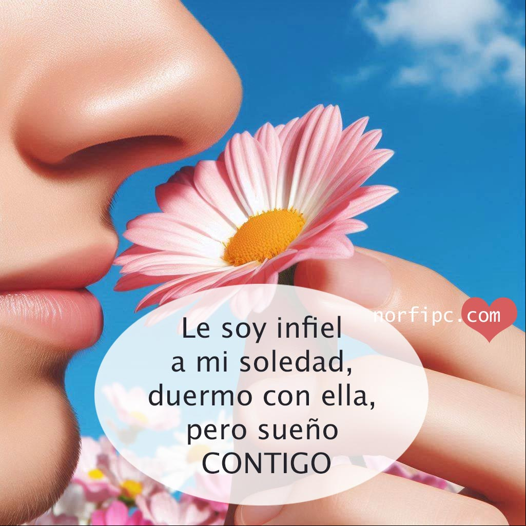 Le soy infiel a mi soledad, duermo con ella, pero sueño contigo... Persona oliendo una rosa