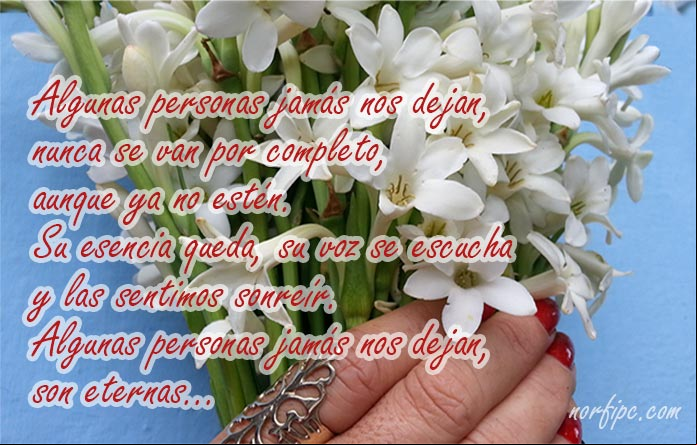 Algunas personas jamás nos dejan, nunca se van por completo, aunque ya no estén. Su esencia queda, su voz se escucha, las sentimos sonreír. Algunas personas jamás nos dejan, son eternas... Pensamiento sobre las personas que jamas nos dejan
