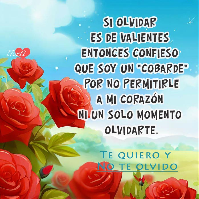 Si olvidar es de valientes, entonces confieso que soy un "cobarde", por no permitirle a mi corazón, ni un solo momento olvidarte Rosa roja