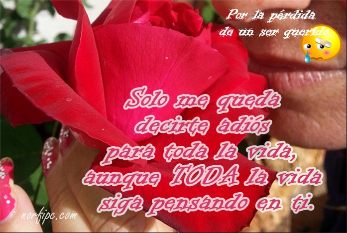 Frases tristes y melancólicas por la pérdida de un ser querido