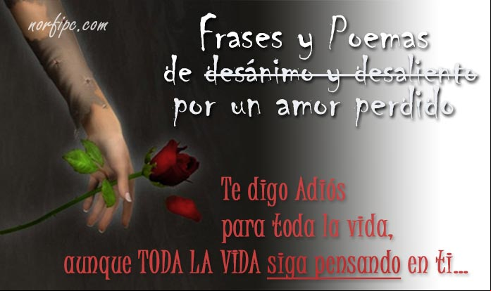 Te digo adiós para toda la vida, aunque toda la vida siga pensando en ti... Frases y poemas de desánimo y desaliento por un amor perdido
