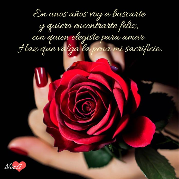 Rosa roja en la mano de una mujer