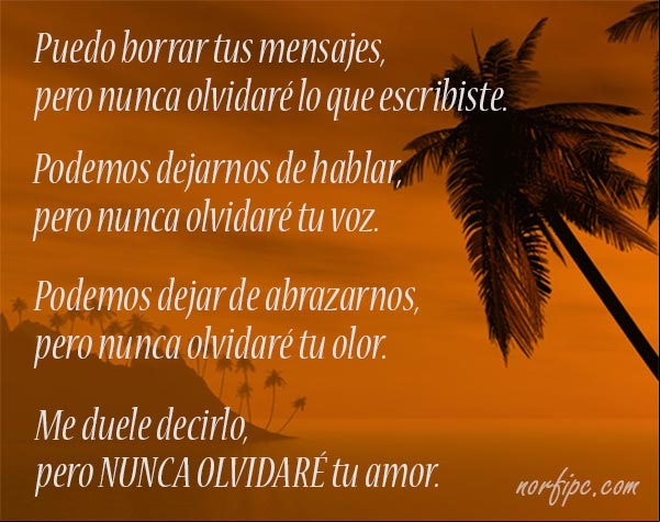 Puedo borrar tus mensajes, pero nunca olvidaré lo que escribiste. Podemos dejarnos de hablar, pero nunca olvidaré tu voz. Podemos dejar de abrazarnos, pero nunca olvidaré tu olor. Me duele decirlo, pero nunca olvidaré tu amor #AmorPerdido Nunca olvidare tu amor